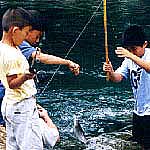 釣り