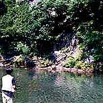 釣り