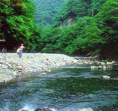マス釣り場