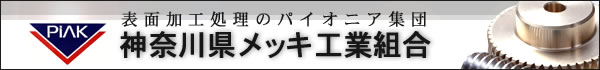 �\�ʉ��H�����̃p�C�I�j�A�W�c�̐_�ސ상�b�L�H�Ƒg��