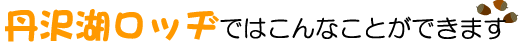 �O��΃��b�a�ł͂���Ȃ��Ƃ��ł��܂�