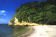 猿島風景