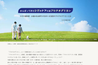LP1ページでAIO対策・SEO対策を行った事例2 株式会社ホワイズ(東京都)