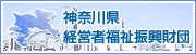 �����U�����c