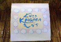 ��������KAIGARA���Ȃ�