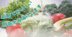 有限会社大隅屋