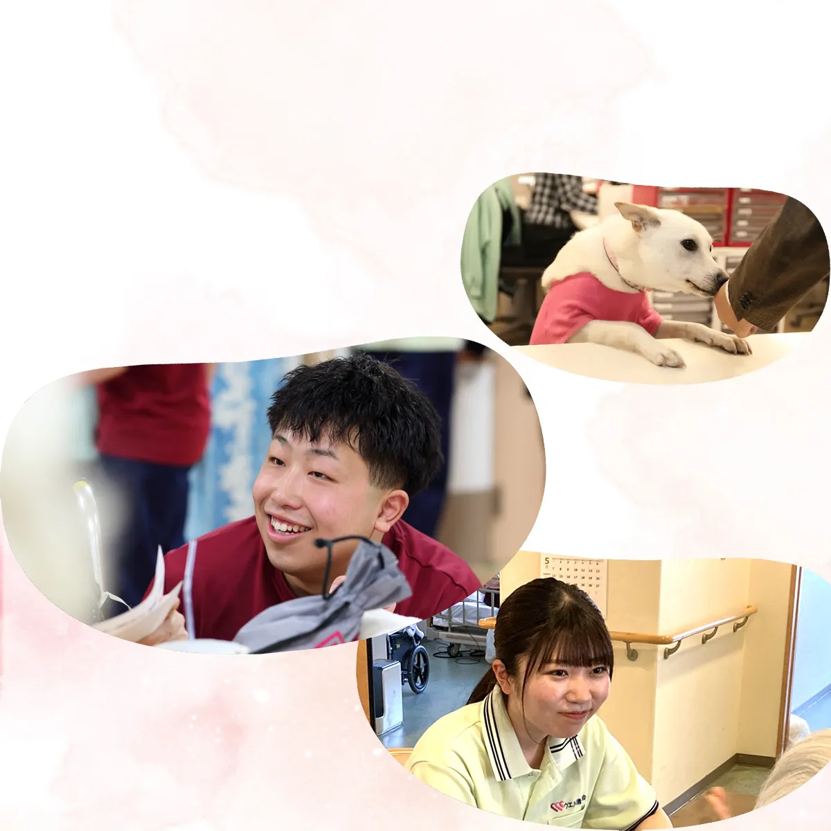 宝塚市-介護職 求人