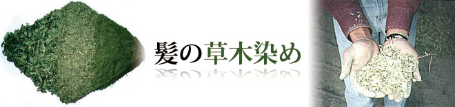髪の草木染め　パーフェクション　ヘナ