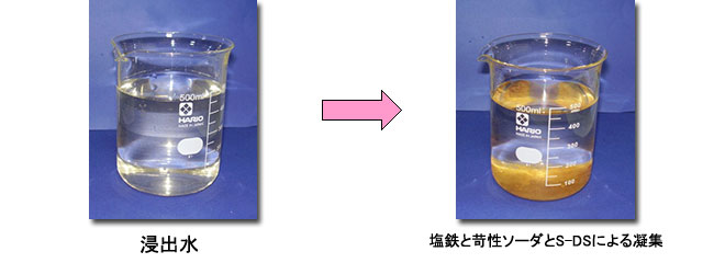 ＦｅＤＳシステム