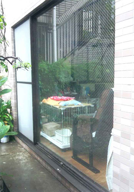 網入りガラス交換工事（交換後）