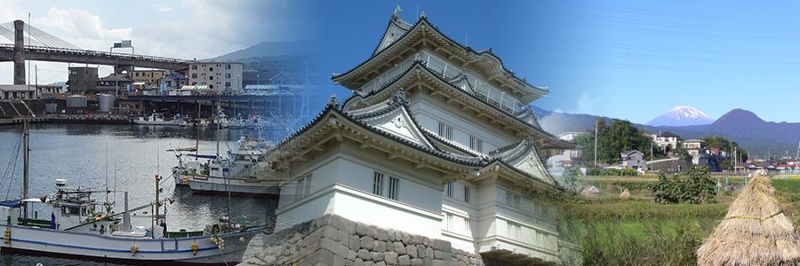 小田原の新鮮な海と山の幸