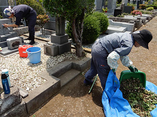 清掃・草取り 清掃・草取り