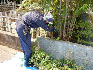 墓地周りの草取り、草むしり及び樹木の枝払いや剪定・芝刈り 墓地周りの草取り、草むしり及び樹木の枝払いや剪定・芝刈り