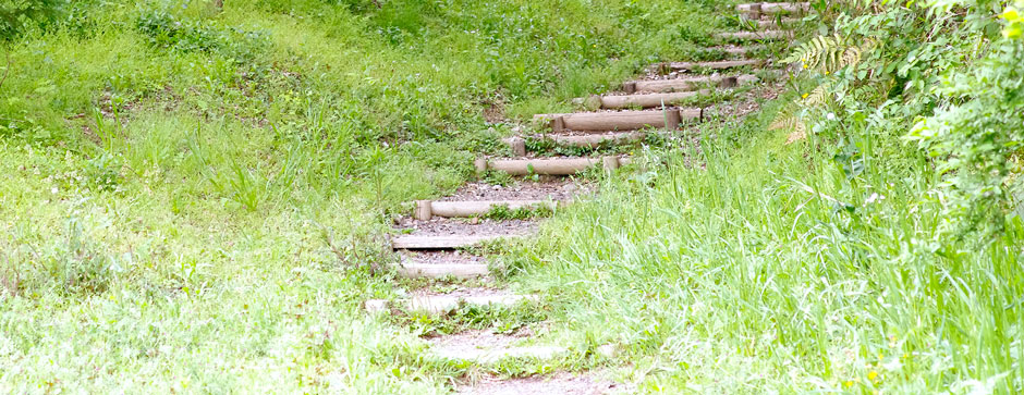 歩行用品研究開発きこば とまり木杖 歩行用品研究開発きこば とまり木杖