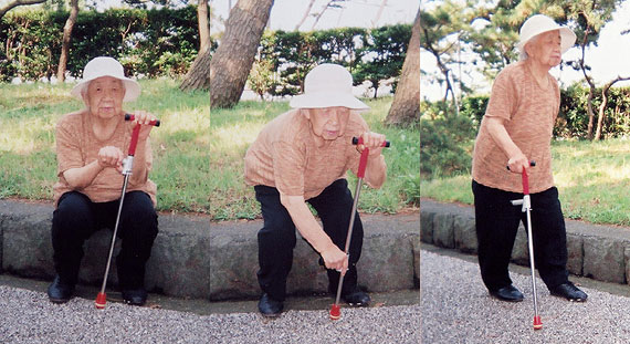 歩行補助 とまり木杖 歩行補助 とまり木杖